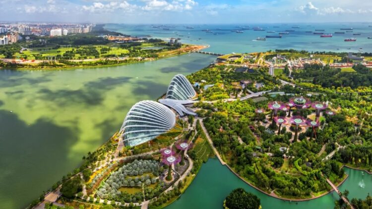 Global Aviation and Travel & Tourism Leaders Call for Strengthened International Cooperation - TRAVELINDEX